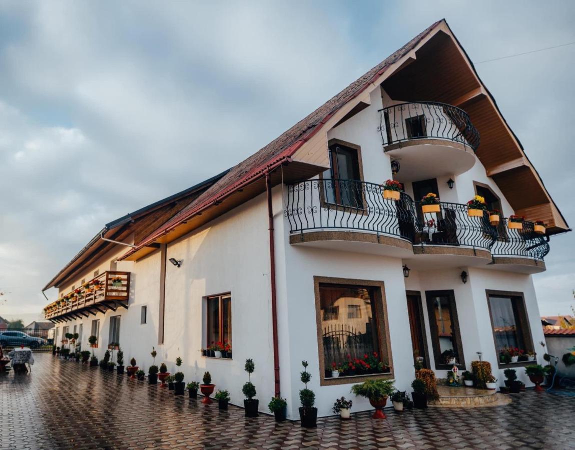 Casa Daiana Hotel Ocna Şugatag Exterior foto